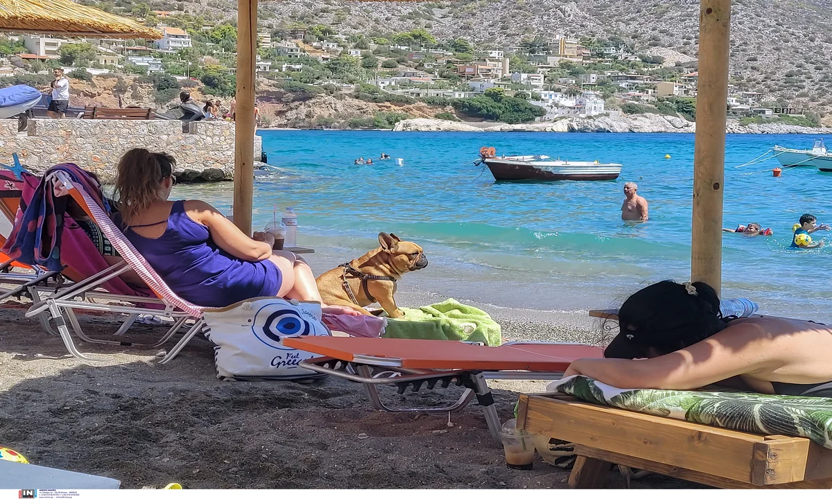 Sosyal Turizm Başvurularını Duşar: Hatalardan Ötürü Reddedilmemek için Nasıl Düzeltilir