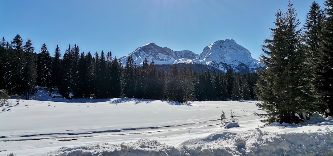 Durmitor Ulusal Parkı: Karadağ'ın Yabani Dağ Kalbi