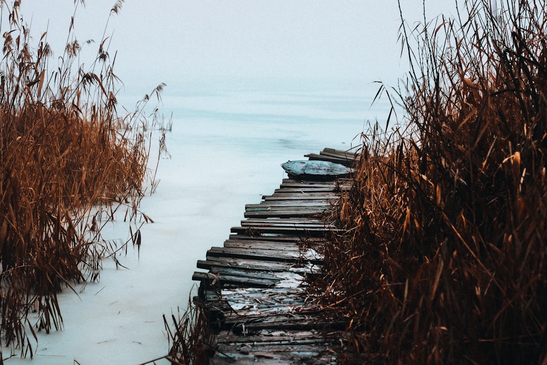 Plitvice Lakes wooden boardwalk autumn leaves wet stone path