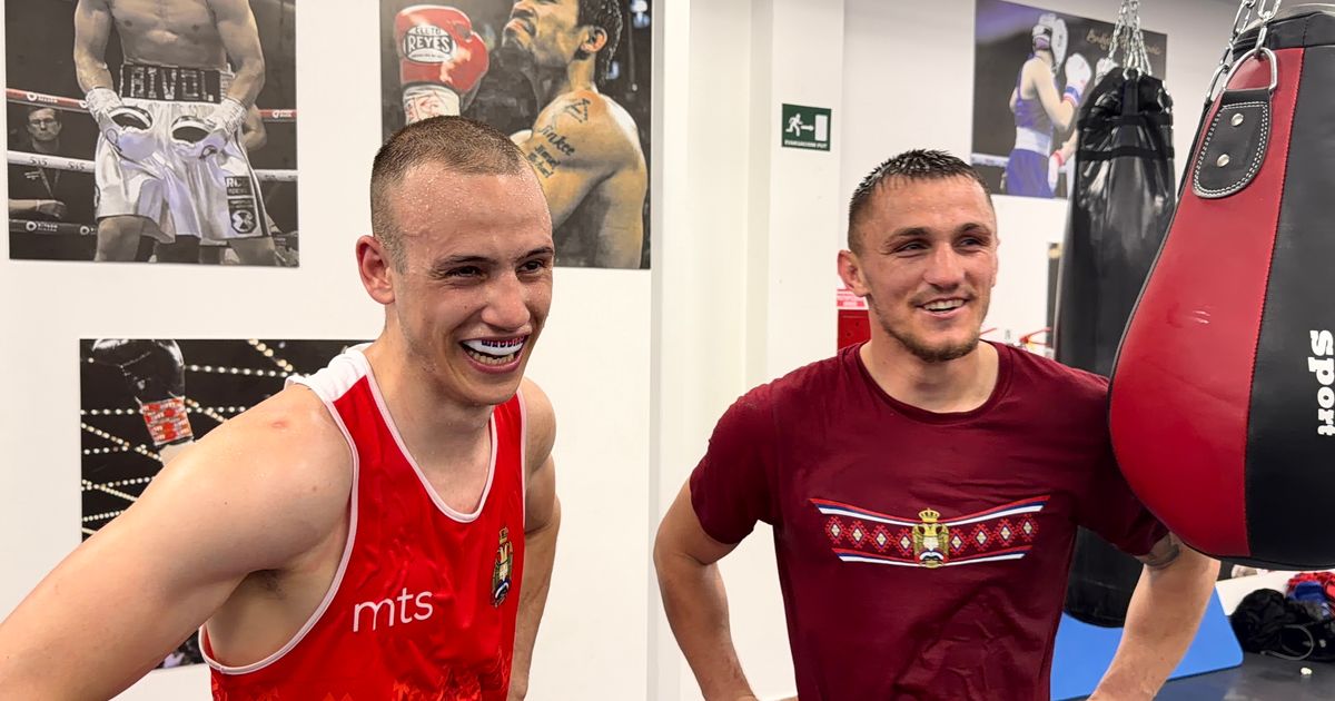 Sırbistan'ın Box Savaşı: Memić ve Nikolić Tekrar Ringe Dönüyor