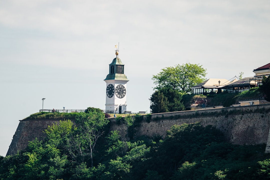 Novi Sad ve Exit Festivali: Kültürün Danub ile Buluştuğu Yer