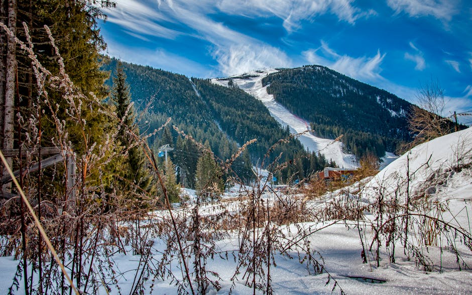 Pamporovo ski resort Bulgaria wide slope pine trees clear blue sky