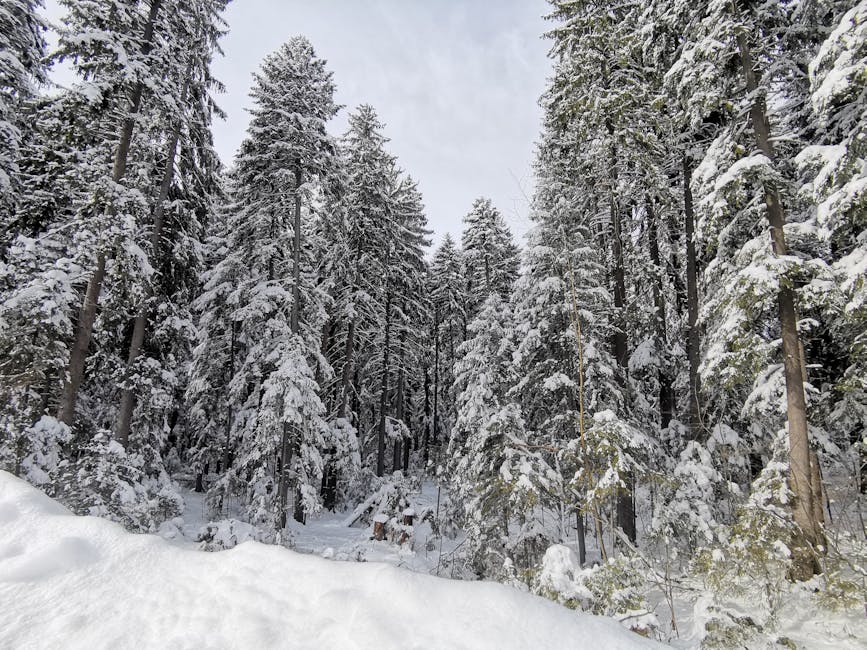 Pamporovo Borovets Bulgaria final sunset ski slopes snowfall
