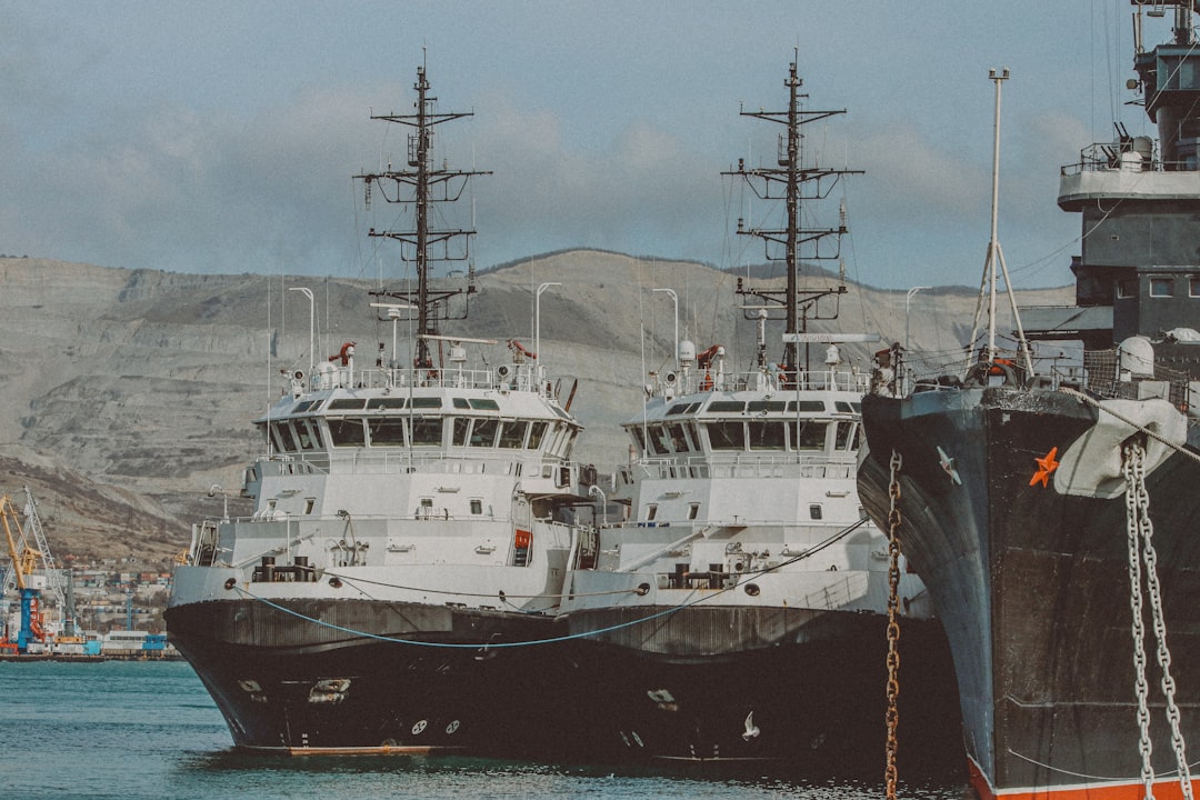 Novorossiya Efsanesi: Tarihsel Bir Fantazi Nasıl Doğu Avrupa'daki Modern Çatışmayı Besliyor