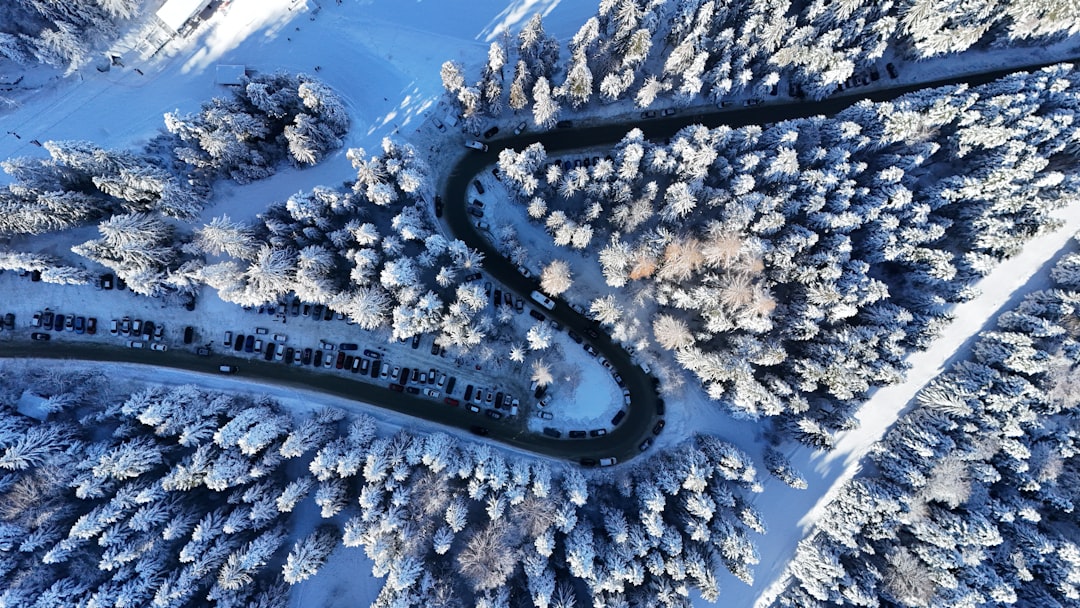 Borovets ski resort Bulgaria main lift station snow covered pine trees winter