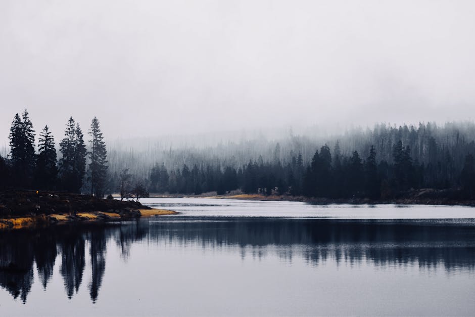 Prošćansko Jezero Plitvice Lakes morning mist pine forest reflection