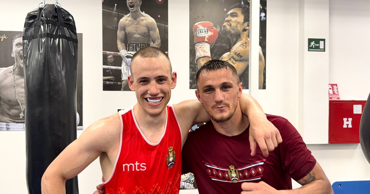 Canlı: Jovan Nikolić - Almir Memić Muayene Mecası Beogradski Pobednik'da