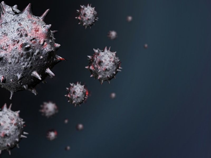 Bulgar Vatandaşları Yalnızca Hantavirus Salgınına Maruz Kalarak Yolcu Gemiye Yok