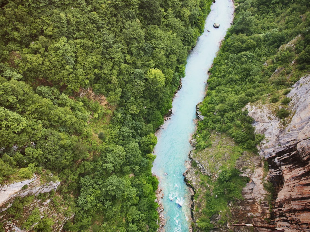 Siyah Nehrin Peşinde: Karadağ'daki Tara Kanyonu'na Gonzo Bir İniş