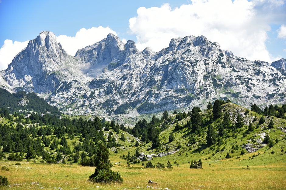 Via Dinarica trail markers limestone ridge Bosnia