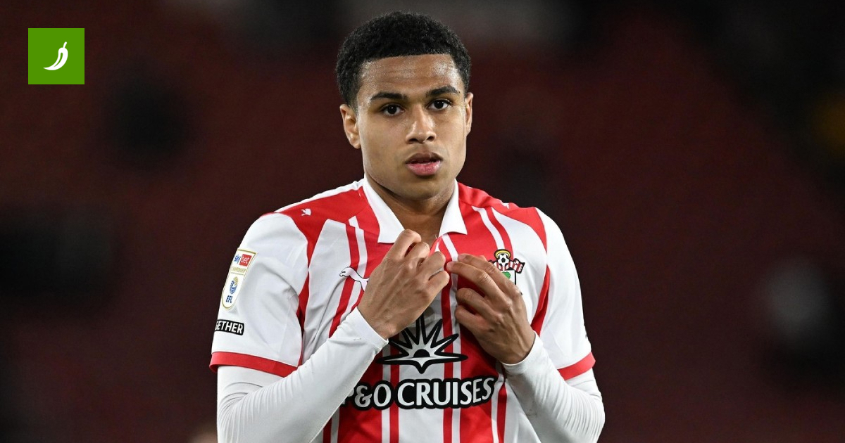 Southampton Premier Lig Finalinden Çıkarıldı