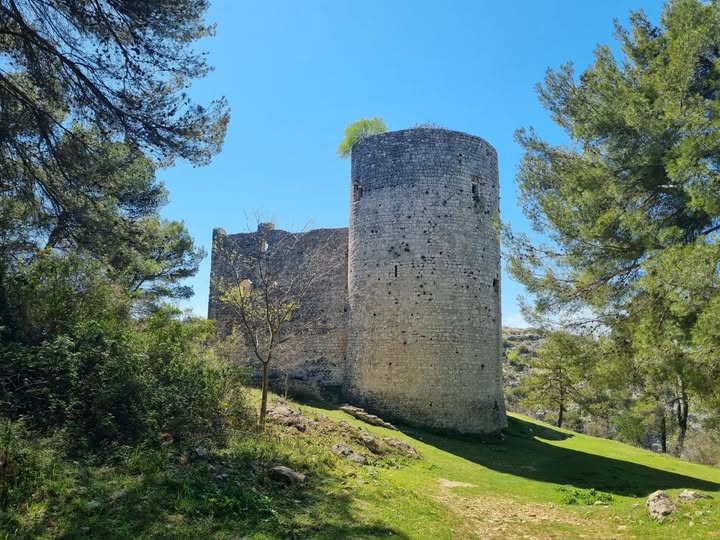 Çocuklar Hırvatistan'da Da Vinci topunu keşfetti